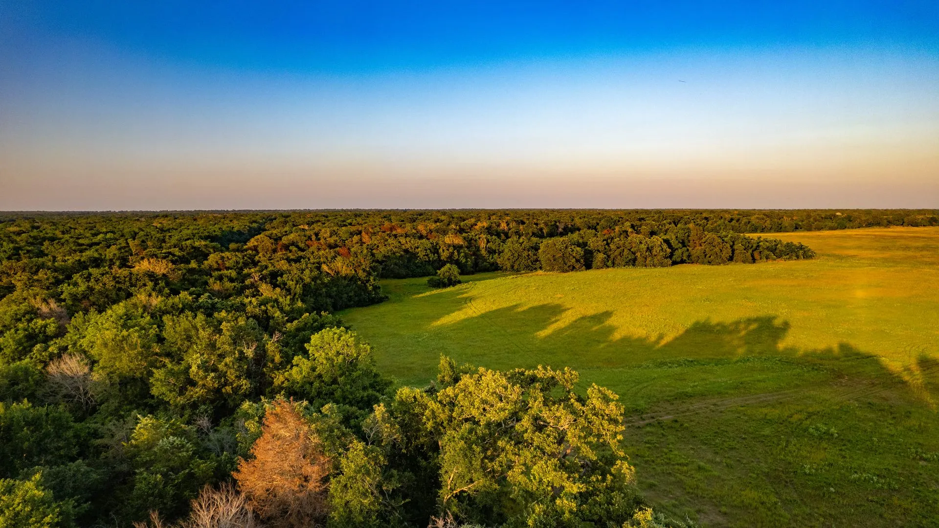 Iron Oak Reserve community in Near College Station, TX